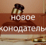 Принят федеральный закон о мерах поддержки экономического сектора в сфере недвижимости и строительства - Камешкирский район