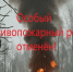 Отменён особый противопожарный режим на территории Пензенской области - Камешкирский район
