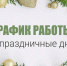 График работы Камешкирской районной больницы в праздники - Камешкирский район
