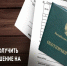 Порядок выдачи разрешений на добычу охотничьих ресурсов на пернатую дичь в МФЦ - Камешкирский район